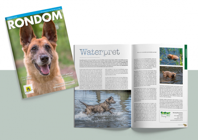 vormgeving en (gedeeltelijk) fotografie magazine